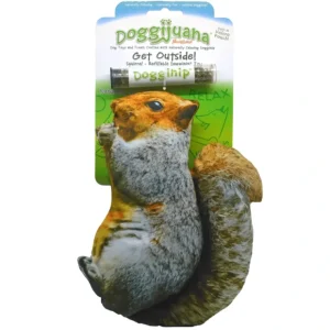 Best Sale Get Outside Squirrel - Refillable Dogginip Toy by SmarterPaw - Pet Home | The Perfect Pet Supplies Shopping Experience Pet Toys