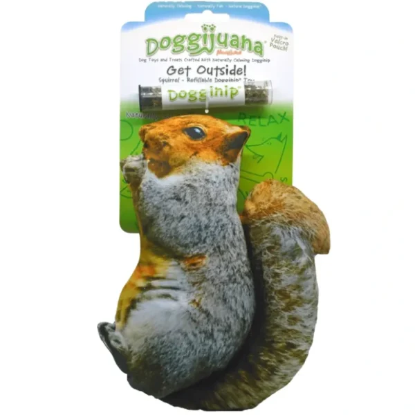 Best Sale Get Outside Squirrel - Refillable Dogginip Toy by SmarterPaw - Pet Home | The Perfect Pet Supplies Shopping Experience Pet Toys