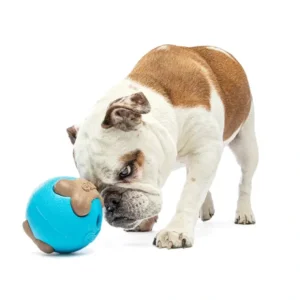 Cheap Guru Busy Ball Medium/Large 12X11X11Cm - Pet Home | The Perfect Pet Supplies Shopping Experience Pet Toys