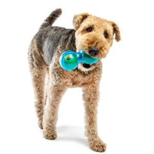 Best Guru Duo Ball Medium 18.5X9.5X9.5Cm - Pet Home | The Perfect Pet Supplies Shopping Experience Dogs