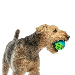 Cheap Guru Pocket Ball Medium/Large 9.5X9.5X9.5Cm - Pet Home | The Perfect Pet Supplies Shopping Experience Pet Toys