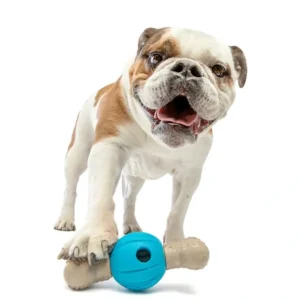 Cheap Guru Spin & Chew Bone Bacon Medium 18X7.5X7Cm - Pet Home | The Perfect Pet Supplies Shopping Experience Pet Toys