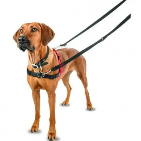 Clearance Halti Front Control Harness (Black/Red) - Pet Home | The Perfect Pet Supplies Shopping Experience Dogs
