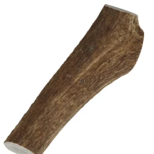 Best Sale Happy Dog of Cape Cod Premium All Natural Whole Elk Antler Dog Chews - Pet Home | The Perfect Pet Supplies Shopping Experience Pet Toys