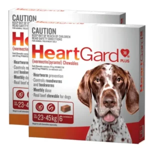 Clearance Heartgard Plus Brown 12 pack - Dogs 23-45kg, Heartworm monthly Chews - Pet Home | The Perfect Pet Supplies Shopping Experience Dogs