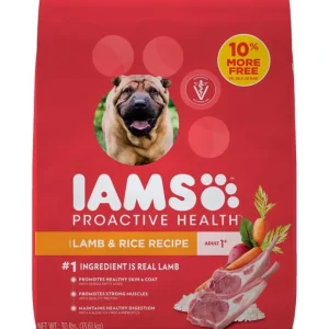 Clearance Iams ProActive Health Adult Lamb Meal and Rice Formula Dry Dog Food - Pet Home | The Perfect Pet Supplies Shopping Experience Dogs