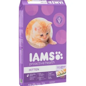 New Iams ProActive Health Kitten Chicken Recipe Dry Cat Food - Pet Home | The Perfect Pet Supplies Shopping Experience Cats
