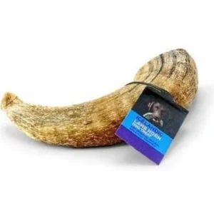 Cheap Icelandic+ Medium Lamb Horn Dog Treat - Pet Home | The Perfect Pet Supplies Shopping Experience Dogs