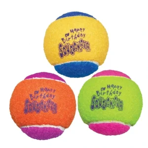Cheap KONG AirDog Squeakair Birthday Balls Dog Toy - Pet Home | The Perfect Pet Supplies Shopping Experience Dogs