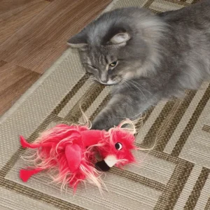 Flash Sale Kong Softies Frizz Bird - Pet Home | The Perfect Pet Supplies Shopping Experience Cats