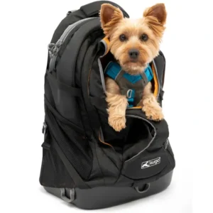 Clearance Kurgo G-Train Back Pack - Black - Pet Home | The Perfect Pet Supplies Shopping Experience Dogs