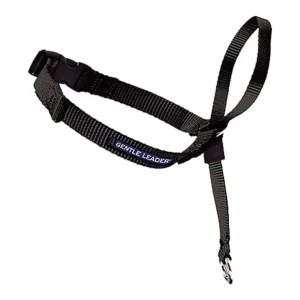 Best Leader - Black - Small - Pet Home | The Perfect Pet Supplies Shopping Experience Pet Toys