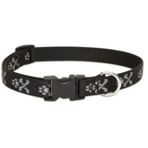 Best Sale Lupine 16-28 Large Dog Collar Bling Bonz 1 inch thick, Adjustable 16-28 inches - Pet Home | The Perfect Pet Supplies Shopping Experience Dogs