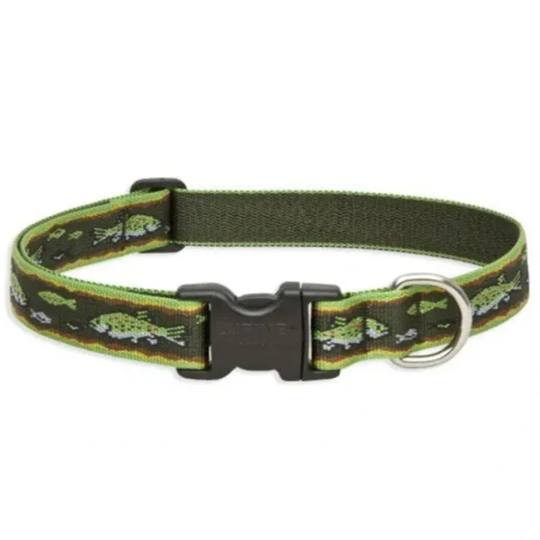 Best Sale Lupine 12-20 Large Dog Collar Brook Trout 1 inch thick, Adjustable 12-20 inches - Pet Home | The Perfect Pet Supplies Shopping Experience Dogs