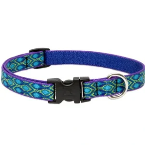 Cheap Lupine 15-25 Medium Dog Collar RAIN SONG 3/4 inch thick, Adjustable 15-25 inches - Pet Home | The Perfect Pet Supplies Shopping Experience Dogs