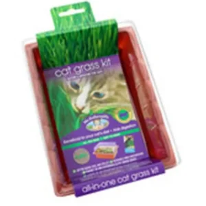 Sale Mr Fothergills Cat Grass Kit - Pet Home | The Perfect Pet Supplies Shopping Experience Cats