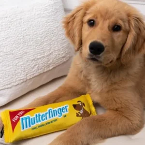 Best Sale Mutterfinger Dog Toy - Pet Home | The Perfect Pet Supplies Shopping Experience Pet Toys