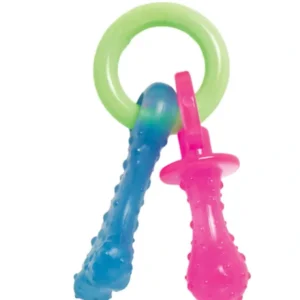 Best Nylabone Puppy Chew Teething Pacifier Bacon - Pet Home | The Perfect Pet Supplies Shopping Experience Pet Toys