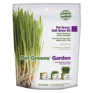 Pet Greens, Wheat Grass Kit - 113 g - Pet Home | The Perfect Pet Supplies Shopping Experience Outlet