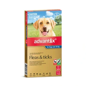 Pet Shop Direct - Advantix Dogs Over 25kg 3 Pack - Pet Home | The Perfect Pet Supplies Shopping Experience Outlet