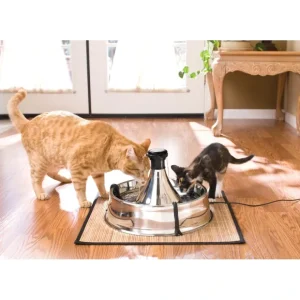 Pet Shop Direct - Drinkwell 360 Stainless Steel Pet Fountain 3.8 Litres - Pet Home | The Perfect Pet Supplies Shopping Experience Fashion