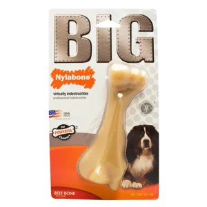 Cheap Pet Shop Direct - Nylabone Big Chew for Big Dogs Beef Bone - Pet Home | The Perfect Pet Supplies Shopping Experience Dogs