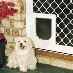 Pet Shop Direct - Petway Security Pet Door White Small - Pet Home | The Perfect Pet Supplies Shopping Experience Flash Sale