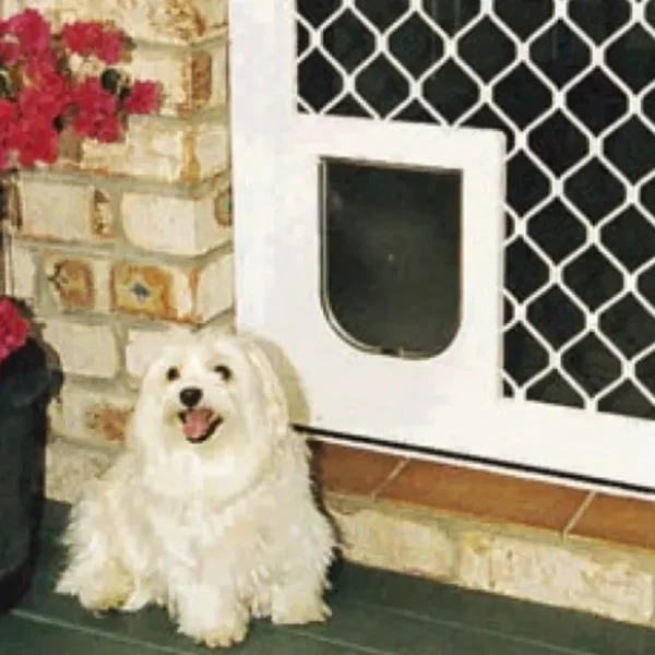 Pet Shop Direct - Petway Security Pet Door White Small - Pet Home | The Perfect Pet Supplies Shopping Experience Flash Sale