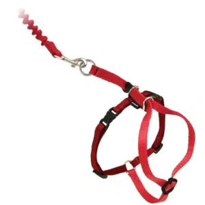 PetSafe Come With Me Kitty Cat Harness & Bungee Leash - Pet Home | The Perfect Pet Supplies Shopping Experience