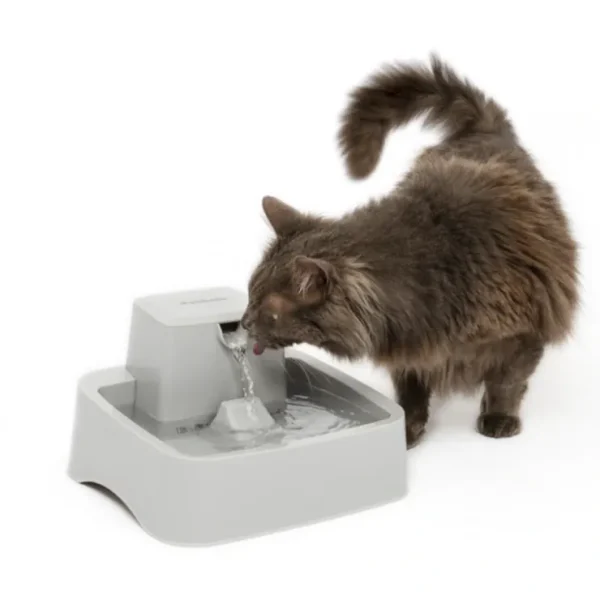 Petsafe Drinkwell 1.8L Pet Fountain - Pet Home | The Perfect Pet Supplies Shopping Experience