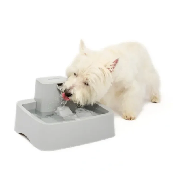 Petsafe Drinkwell 3.7L Pet Fountain - Pet Home | The Perfect Pet Supplies Shopping Experience