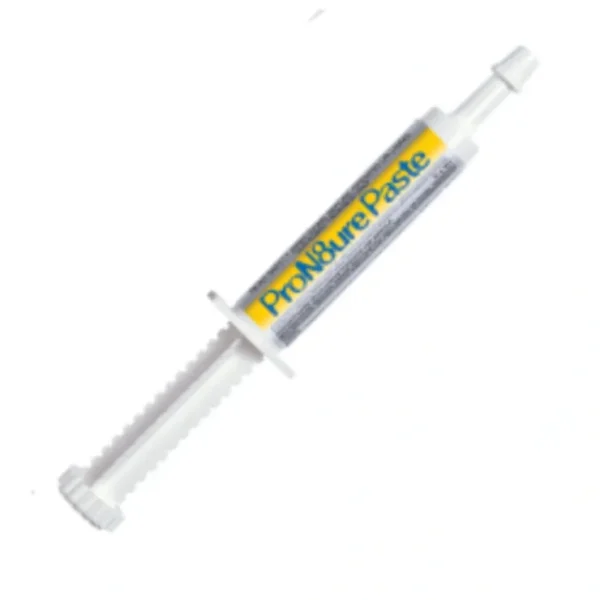 ProN8ure Paste 30g - Pet Home | The Perfect Pet Supplies Shopping Experience