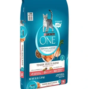 Purina ONE Tender Selects Blend Real Salmon Dry Cat Food - Pet Home | The Perfect Pet Supplies Shopping Experience