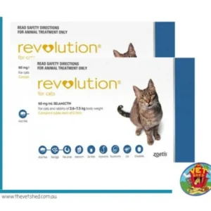 Revolution for Cats 12 pack Blue - Pet Home | The Perfect Pet Supplies Shopping Experience