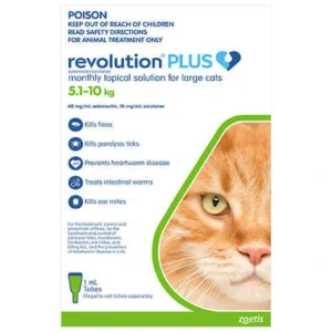 Revolution Plus for Cats 5.1-10kg Green - Pet Home | The Perfect Pet Supplies Shopping Experience