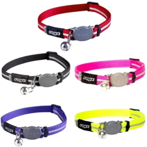 Rogz Alleycat Collar - Pet Home | The Perfect Pet Supplies Shopping Experience