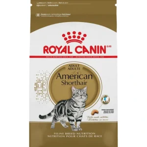 Royal Canin Adult American Shorthair Dry Cat Food - Pet Home | The Perfect Pet Supplies Shopping Experience