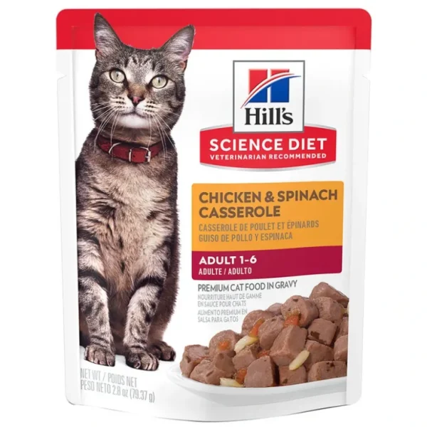 Science Diet, Adult Chicken & Spinach Casserole Wet Cat Food - 80 g - Wet Cat Food - Pet Home | The Perfect Pet Supplies Shopping Experience
