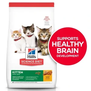 Science Diet, Kitten Chicken Recipe Dry Cat Food - Pet Home | The Perfect Pet Supplies Shopping Experience