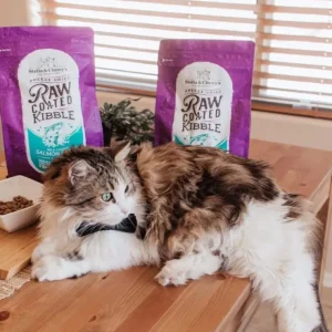 Stella and Chewy's Raw Coated Kibble Dry Cat Food - Pet Home | The Perfect Pet Supplies Shopping Experience
