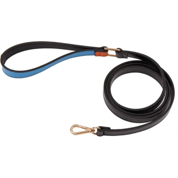The Daisy: Handcrafted Pet Leash - Pet Home | The Perfect Pet Supplies Shopping Experience
