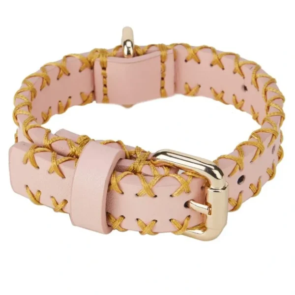 The Rosie: Handcrafted Pet Collar - Pet Home | The Perfect Pet Supplies Shopping Experience