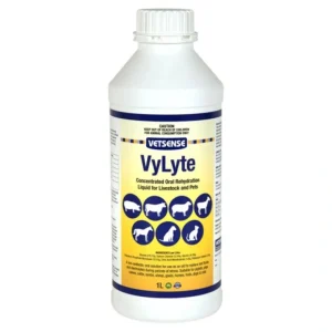 Vetsense Vylyte 1 Litre - Pet Home | The Perfect Pet Supplies Shopping Experience