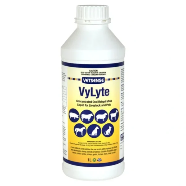 Vetsense Vylyte 1 Litre - Pet Home | The Perfect Pet Supplies Shopping Experience
