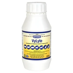 Vetsense Vylyte 250ml - Pet Home | The Perfect Pet Supplies Shopping Experience